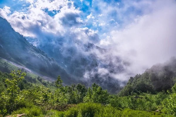 Brouillard Épais Nuages Dans Les Gorges Des Montagnes Végétation Verte — Photo