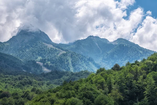 Pendiente Montaña Verde Con Teleféricos Día Nublado Verano Krasnaya Polyana — Foto de Stock