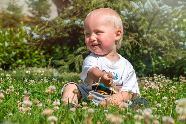 快乐的小男孩坐在绿草如茵的田野里 小男孩的肖像在绿油油的草坪上嬉戏 小男孩走在绿油油的草坪上 — 图库照片