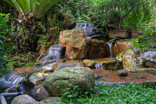 Garden landscape with waterfall, rocks and green plants, Oasis a — Stock Image Garden landscape with waterfall, rocks and green plants, Oasis a Stock Image