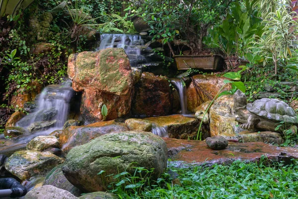 Garden landscape with waterfall, rocks and green plants, Oasis a