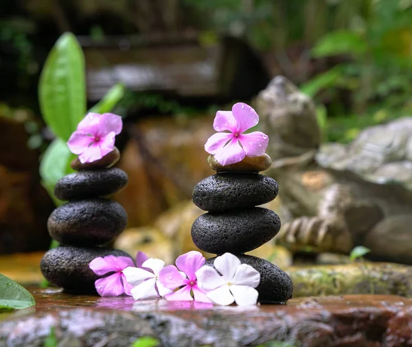 Pile de pierres zen avec des fleurs à côté d'une mini cascade de jardin — Photo