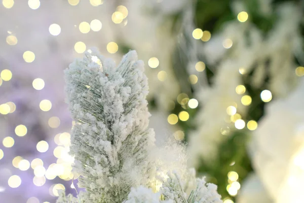 Abstract light bokeh with white christmas tree — Stock Photo, Image