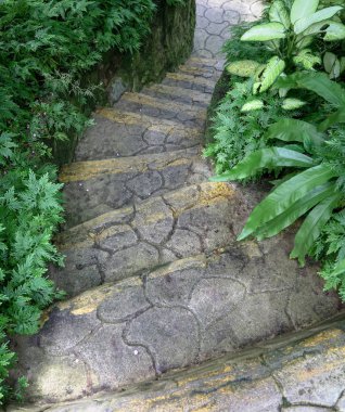Bahçedeki basamaklar ya da merdivenler. Yolculuk veya adımlar için kavram