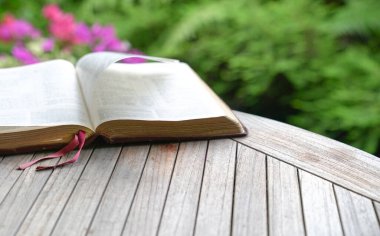 Tahta masadaki incili aç. Kitap ayracına odaklanmış yumuşak bulanıklık efekti. Arkaplanda yeşil doğa.