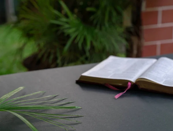Open Bible Black Table Palm Leaves Soft Focus Blur Text — Stock Photo, Image