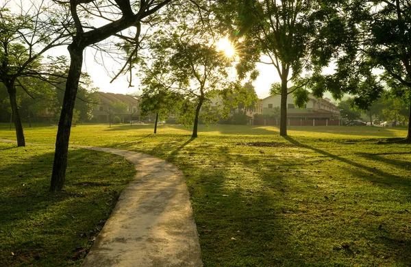 Beautiful Green Park Trees Jogging Track Sun Rays Flares Nature — Stock Photo, Image