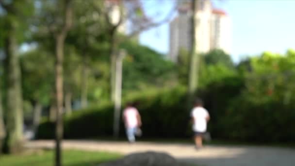 Wazige Onscherpe Mensen Het Park Hardlopen Joggen Wandelen Met Honden — Stockvideo