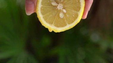 Dilimlenmiş limon. Meyve suyu, yavaş çekim..