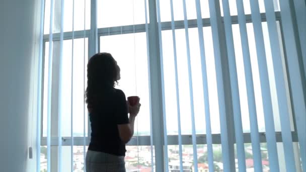 Vista Trasera Mujer Negocios Sosteniendo Una Taza Café Mirando Fuera — Vídeos de Stock