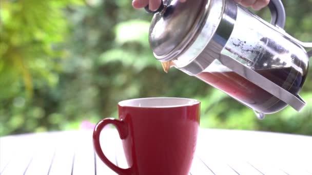 프랑스 프레스에서 컵으로 커피를 — 비디오