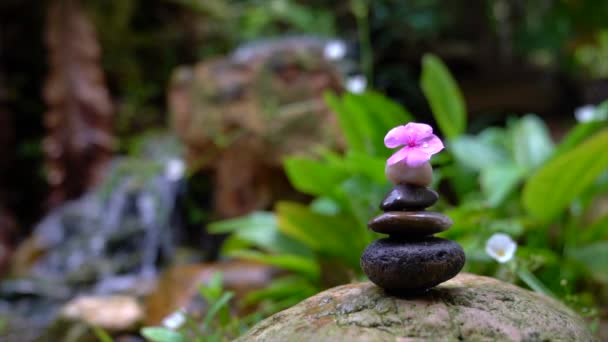 Oblázky naskládané do pyramidy s růžovým květem navrchu. Mini vodopád a skalní zahrada v pozadí. Zen, lázně, krása a wellness koncept.
