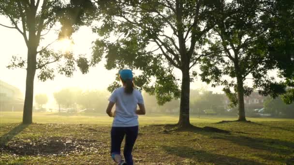 Sportlerin Beim Training Oder Workout Park Bei Schönem Morgensonnenlicht Gesundes — Stockvideo