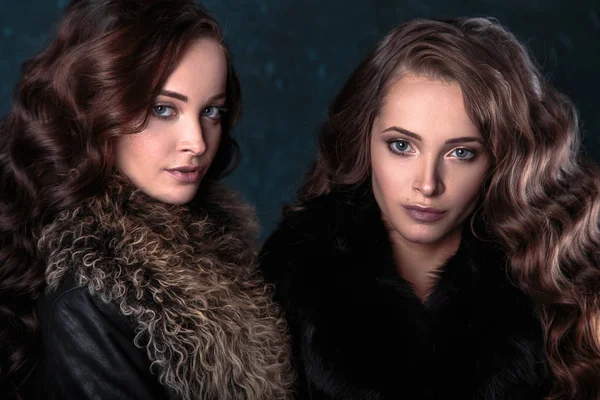 Young brunette twins women with perfect natural makeup and hair style wearing furs. fashion beauty portrait — Stock Photo, Image