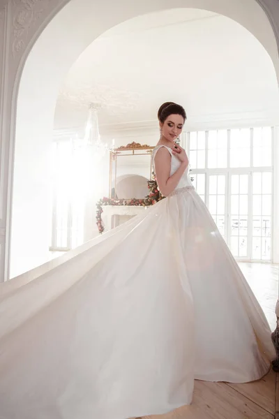 Retrato de bela noiva morena com penteado elegante e maquiagem vestindo vestido de noiva de luxo longo — Fotografia de Stock