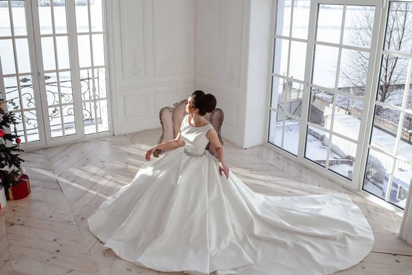 Ritratto di bella sposa bruna con acconciatura elegante e trucco indossando lungo abito da sposa di lusso — Foto Stock