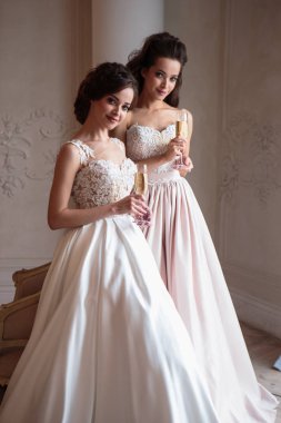 Güzel gelin ve nedimeleri lüks elbiseler. Düğün photosession ikiz genç kadınlarda