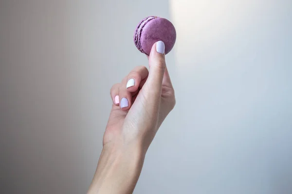 Macaroons Tartja Kezében Közelről Makró Fotó Színes Keksz Manikűr Műköröm — Stock Fotó