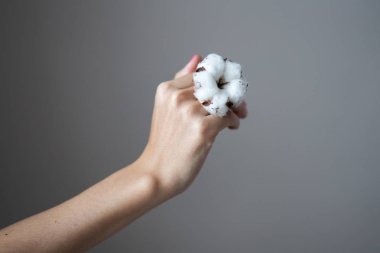 Manikür fotoğrafı, mükemmel pembe cilalı kadın elleri.