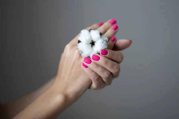 Szekrény Fotó Manikűr Női Kéz Tökéletes Rózsaszín Lengyel — Stock Fotó