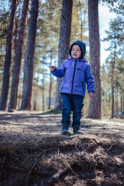 Küçük çocuk bahar ormanında yalnız.