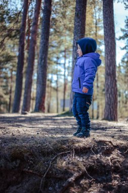 Küçük çocuk bahar ormanında yalnız.