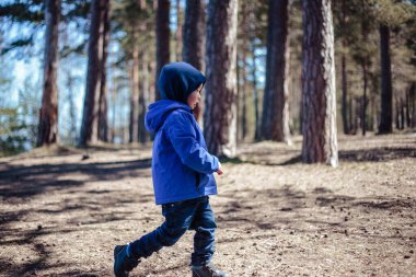 Küçük çocuk bahar ormanında yalnız.