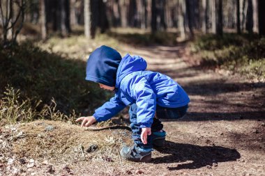 Küçük çocuk bahar ormanında yalnız.