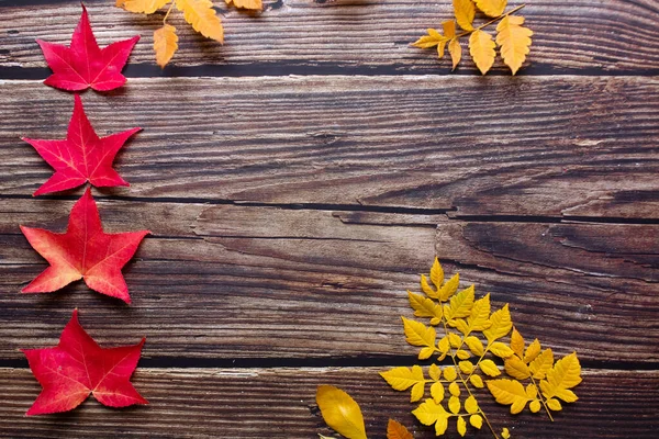 Horní pohled na červené javorové listy v jedné řadě od malých až po velké a několik žlutých listů v tmavém venkovském dřevěném pozadí. Listy na starožitném dřevěném stole s kopírovacím prostorem. Koncept podzimu a zátiší. — Stock fotografie