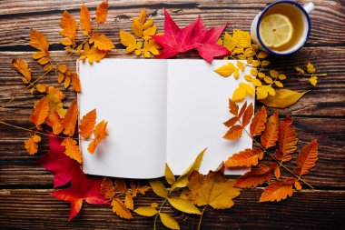 Mermi günlüğüne kadın el yazısı. Üzerinde kadın yuvarlak bardakları olan boş bir defter sayfası sonbahar portakalı, sarı ve kırmızı yapraklı ahşap bir masanın üstünde. Yaratıcı Yazı Kavramı.