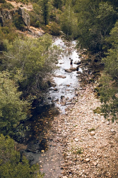 Вид сверху на человека в середине реки с камнями и растительностью. Концепция приключений и экотуризма — стоковое фото