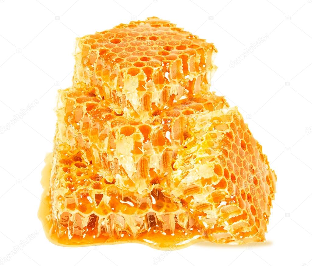 honeycombs isolated on a white