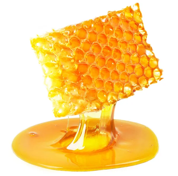 Favo de mel gotejamento isolado — Fotografia de Stock