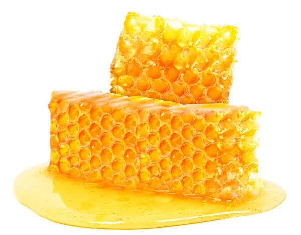 Honeycomb honey isolated — Stock Photo, Image