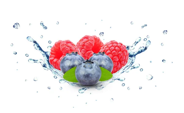 蓝莓和覆盆子飞溅的水被隔离在白色 免版税图库照片