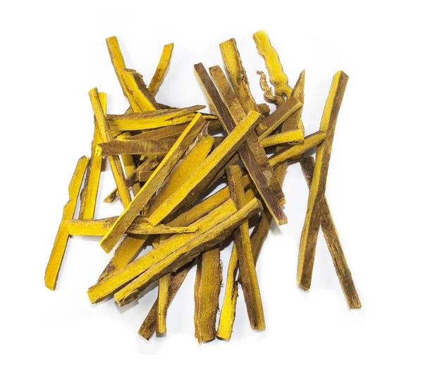 Phellodendron amurense Stock Photos, Royalty Free Phellodendron amurense Images | Depositphotos