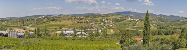 Panorama of Dobrovo in Slovenia. — Stock fotografie