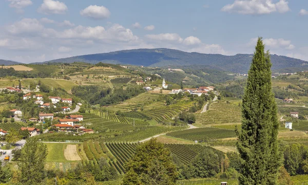 Dobrovo paisaje en Eslovenia . —  Fotos de Stock