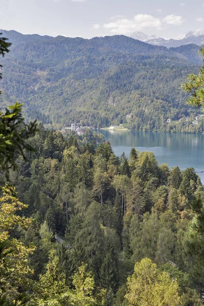 Yukarıdan Lake Bled görünümünde Slovenya — Stok fotoğraf