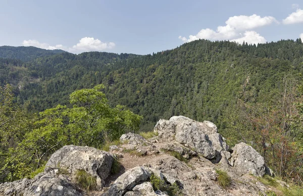 Vista sobre los Alpes Julianos desde la montaña Osojnica en Bled — Foto de Stock