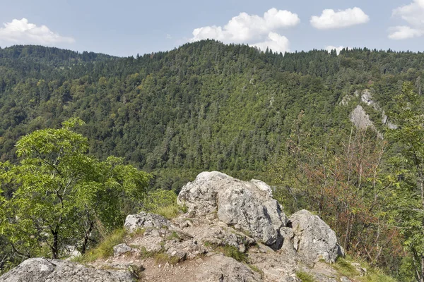 Vista sobre los Alpes Julianos desde la montaña Osojnica en Bled — Foto de Stock