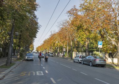 Prens Amedeo Avenue Rimini, İtalya