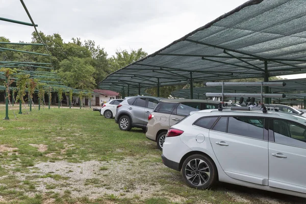 Ecológico al aire libre estacionamiento de camping con uvas en crecimiento —  Fotos de Stock