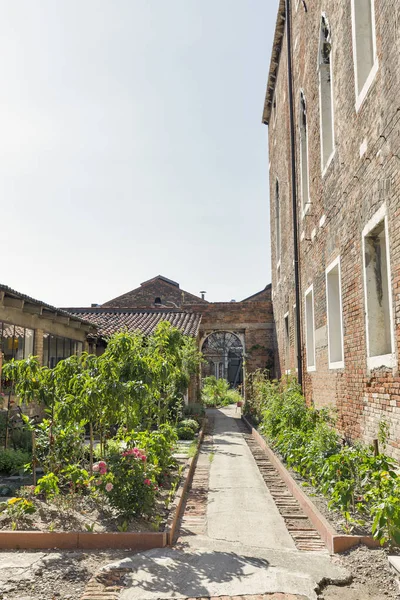 Pequeño jardín en la isla de Murano, Italia . —  Fotos de Stock