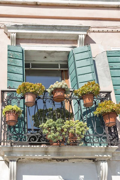 Enda fönster med växter i krukor. Muran, Venedig, Italien. — Stockfoto