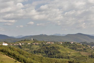 Üzüm bağları, kırsal Akdeniz yatay