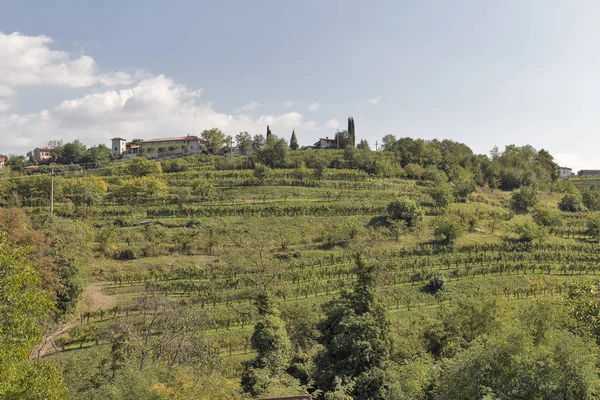 Paisagem mediterrânica rural com vinhas — Fotografia de Stock