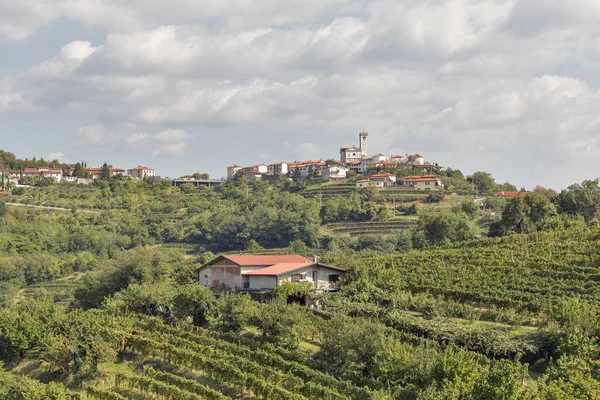 Malebné venkovské Středomořská krajina s vinicemi — Stock fotografie