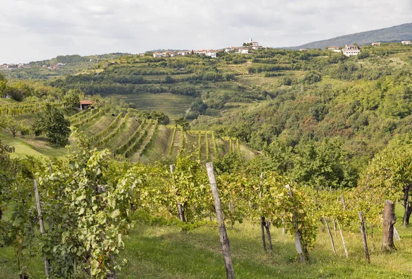 Paisagem mediterrânica rural com vinhas e aldeia de Smartno, Eslovénia — Fotografia de Stock