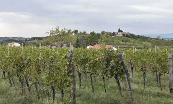 Paisagem mediterrânica rural com vinhas e aldeia ao pôr-do-sol, Eslovénia — Fotografia de Stock